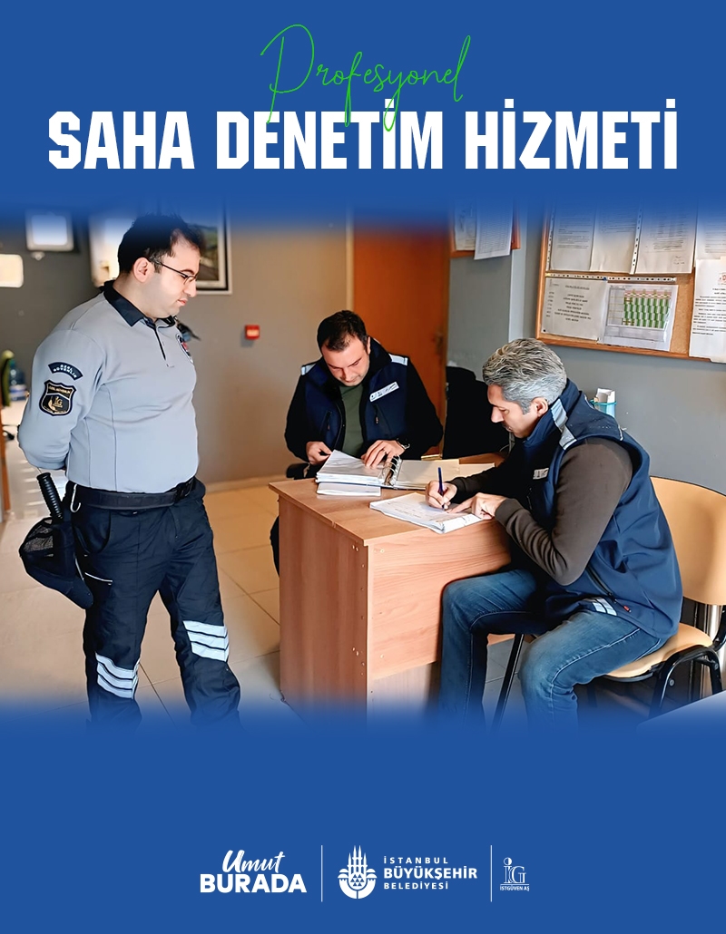 Saha Denetim Hizmeti